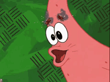 patrick star from spongebob squarepants is looking at a cockroach on his head .