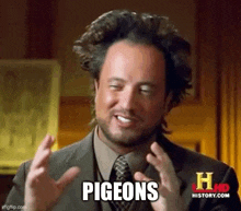 a man in a suit and tie is saying pigeons .