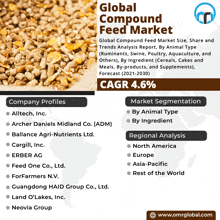 a poster for the global compound feed market shows the company profiles and market segmentation