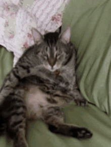 a cat is laying on its back on a couch .