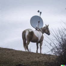 a brown and white horse has a satellite dish on its back