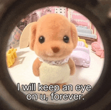 a picture of a stuffed animal with the words " i will keep an eye on u forever "