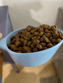 a person is holding a blue scoop filled with dog food