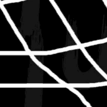 a black background with white lines on it and a spider web .