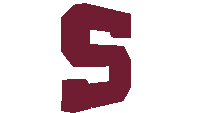 a burgundy letter s is on a white background