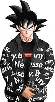 goku from dragon ball z is wearing a black supreme jacket .