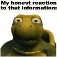 a picture of a turtle with the words " my honest reaction to that information "