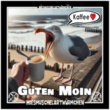 a picture of a seagull holding a cup of coffee with the words guten moin written below it