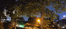 a tree with lots of leaves is lit up at night in front of a hotel