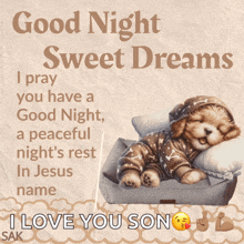 a poster that says good night sweet dreams with a picture of a dog