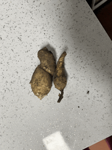 two potatoes are on a white counter top