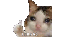 a crying cat is giving a thumbs up and the words `` thanks '' underneath it .