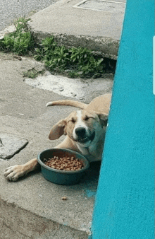 a dog laying next to a bowl of food with its eyes closed