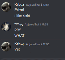 a screenshot of a conversation between krb privet i like siski priv what and vat