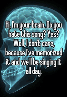 an x-ray of a brain says hi i 'm your brain do you hate this song yes well i don 't care