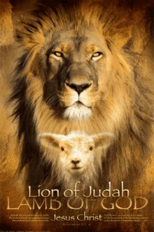 a lion and a lamb are on a poster for the movie lion of judah lamb of god .