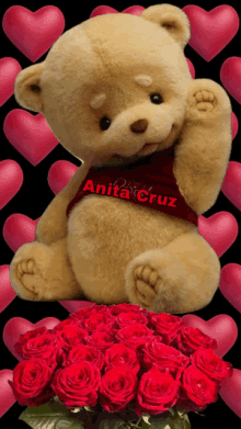 a teddy bear with the name anita cruz written on it