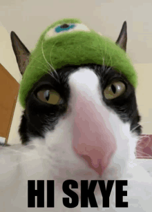 a black and white cat wearing a green hat that says hi skye on it