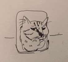 a black and white drawing of a cat 's face in a square