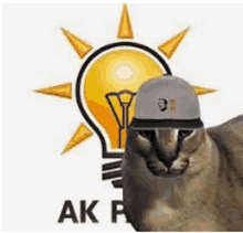 a cat wearing a hat and a light bulb in the background .