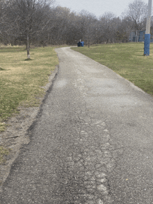 a path in a park with a blue trash can on the right