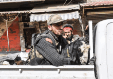 a man in a camo hat is holding a goat in a truck bed