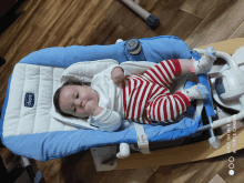 a baby is laying in a blue and white chicco rocker