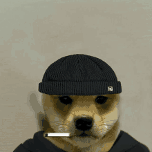 a dog wearing a black beanie and a black hoodie smoking a cigarette