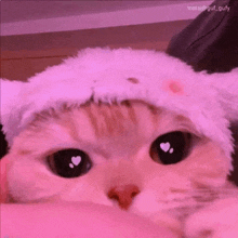 a close up of a cat wearing a hat with heart shaped eyes .