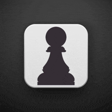 a black and white square with a chess piece on it