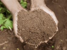 a person is holding a pile of brown soil in their hands