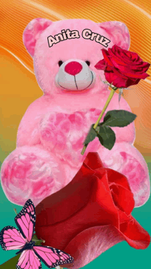 a pink teddy bear with the name anita cruz written on it