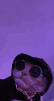 a cat wearing sunglasses and a hoodie is looking at the camera .