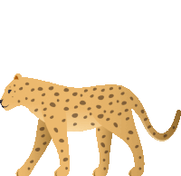 an illustration of a cheetah with brown spots on its fur