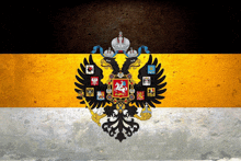 a flag with a coat of arms of the russian empire on it