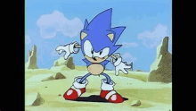 sonic the hedgehog is a cartoon character from the video game sonic the hedgehog .