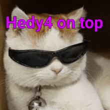 a cat wearing sunglasses with the words " hedy4 on top " above it