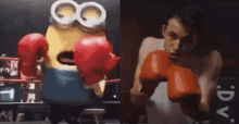 a man and a minion are boxing in a ring .