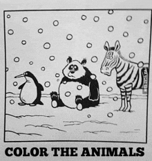 a black and white drawing of a panda , penguin and zebra with the words color the animals below them