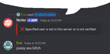 a screenshot of a discord conversation between eve and rover