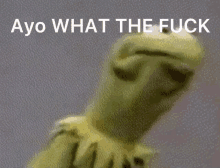 a picture of kermit the frog with the words ayo what the fuck below it