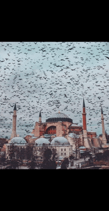 a large flock of birds flying over a mosque