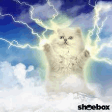 a white cat is sitting in the clouds with lightning coming from the sky behind it .