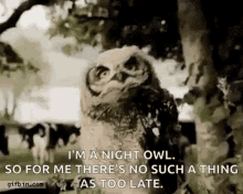 a night owl is standing in the woods and talking to someone .