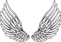 a pair of angel wings on a white background