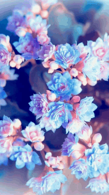 a bunch of blue and pink flowers on a tree