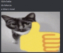 a blurry picture of a cat giving a thumbs up with the caption idzie baba do lekarza a lekarz mowy