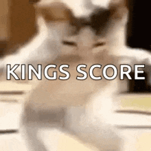 a cat is sitting on a table with the words `` kings score '' written on the bottom .