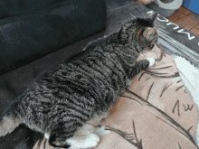 a cat laying on a blanket that says much on it