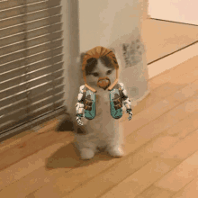 a cat with a robotic arm and a robotic head